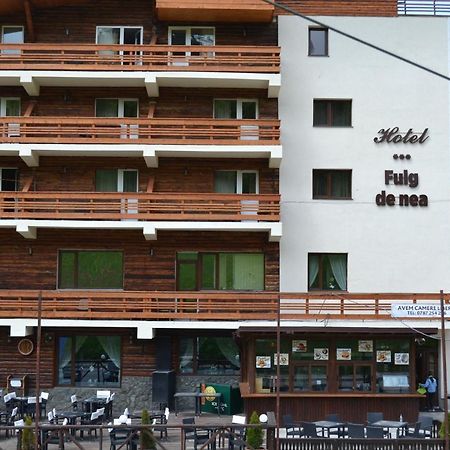 Cabana Fulg De Nea Predeál Kültér fotó