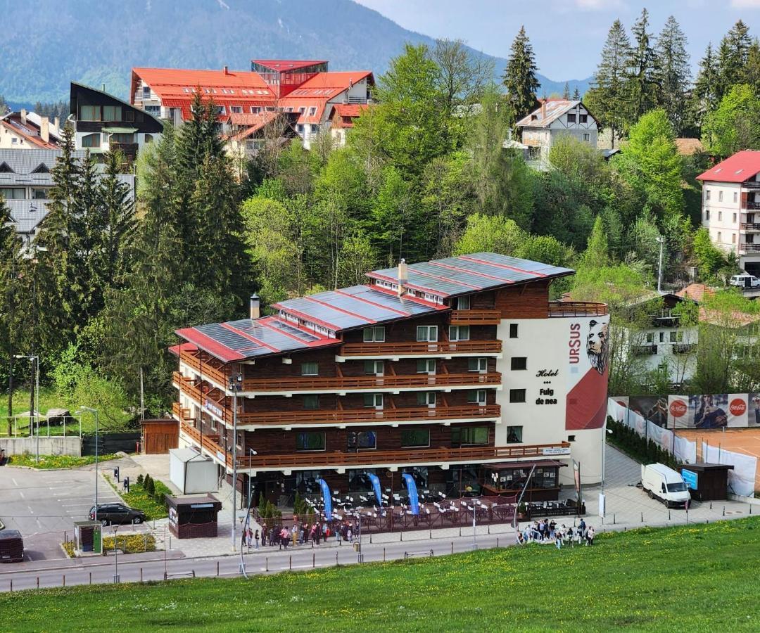 Cabana Fulg De Nea Predeál Kültér fotó