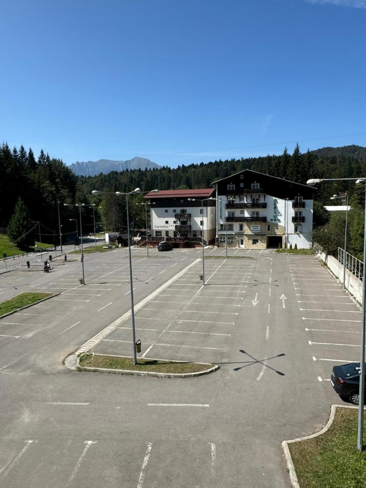 Cabana Fulg De Nea Predeál Kültér fotó